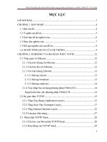 Thiết kế hệ thống điều khiển thiết bị điện trong gia đình qua ethernet và SMS