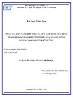 đánh giá khả năng hấp thụ cor2r qua sinh khối của rừng tràm (melaleuca cajuputi powell) tại xã gáo giồng, huyện cao lãnh, tỉnh đồng tháp