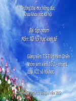 Bài tập nhóm môn xã hội học kinh tế dựa vào sơ đồ swot phân tích làng nghề truyền thống sản xuất rượu chi   nê ở hậu lộc thanh hóa hiện nay