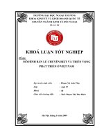 Mô hình bán lẻ chuyên biệt và triển vọng phát triển tại Việt Nam