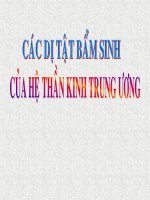 các dị tật bẩm sinh của hệ thần kinh trung ương
