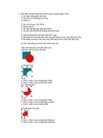 Bản chất của đối tượng được vẽ bởi công cụ graph paper