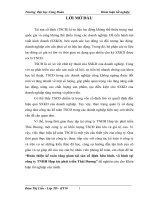 hoàn thiện kế toán tăng giảm tài sản cố định hữu hình, vô hình tại công ty tnhh hợp tác phát triển thái dương