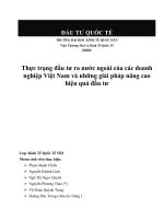 Thực trạng đầu tư ra nước ngoài của các doanh nghiệp việt nam và những giải pháp nâng cao hiệu quả đầu tư