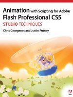 animation with scripting for adobe flash professional cs5 studio techniques