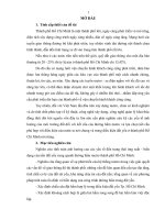 Tính toán ảnh hưởng của các yếu tố đến trạng thái ứng suất, biến dạng của nền đất yếu xung quanh đường hầm metro