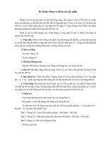 Kỹ thuật trồng và chăm sóc cây nhãn