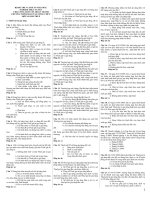 Ôn thi công chức thuế có đáp án