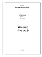 thiết kế mẫu điển hình  về trường tiểu học