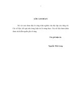 Đầu tư trực tiếp nước ngoài với việc chuyển dịch cơ cấu kinh tế