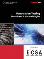 penetration testing
