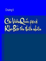 Bài giảng Bảo tồn đa dạng sinh học: Chương 6 - Thạc sĩ. Viên Ngọc Nam