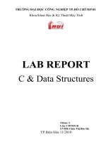 Lab report C & Data Structures