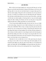 phân tích dự án đầu tư cầu trục bốc xếp hàng bách hoá ở cảng hải phòng