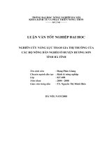 nghiên cứu năng lực tham gia thị trường của các hộ nông dân nghèo ở huyện hương sơn