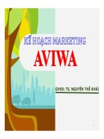 Bài thuyết trình kế hoạch marketing AVIWA