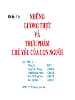 những lương thực và thực phẩm chủ yếu của con người