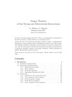 Gauge Theoriesof the Strong and Electroweak Interactions