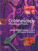 colonoscopy  -  principles and practice  -  j. waye, et al., (blackwell, 2003)