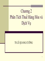 chương 2 phân tích thuế hàng hóa và dịch vụ