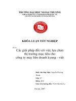 Các giải pháp đối với việc lựa chọn thị trường mục tiêu cho công ty may liên doanh kyung   việt