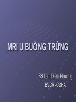 mri u buồng trứng