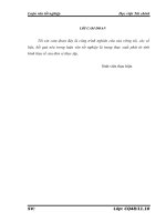 Đánh giá thực trạng tài chính và các giải pháp cải thiện tình hình tài chính tại Công ty cổ phần xây dựng và thương mại Hoàng Liên Sơn”