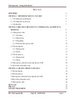 TIỂU LUẬN MÔN: TƯƠNG THÍCH ĐIỆN TỪ: HIỆU QUẢ  CHE CHẮN CỦA SUPERALLOY,  ALUMINUM VÀ MUMETAL