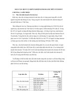 Báo cáo dịch vụ khởi nghiệp kinh doanh trên internet