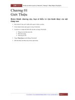 tài liệu vận hành và quản trị etimegold chương 1 giới thiệu