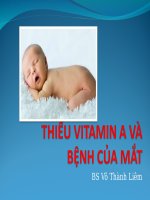 thiếu vitamin a và bệnh của mắt