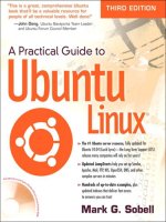 a practical guide to ubuntu linux