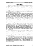 hoàn thiện tổ chức kế toán nguyên vật liệu tại công ty cổ phần may trường sơn