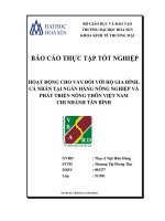 hoạt động cho vay đối với hộ gia đình, cá nhân tại ngân hàng nông nghiệp và phát triển nông thôn việt nam chi nhánh tân bình