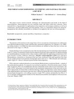 polymer nanocomposites synthetic and natural fillers