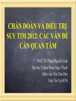 chẩn đoán và điều trị suy tim năm 2012