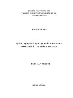 quản trị nợ quá hạn tại ngân hàng tmcp đông nam á chi nhánh bắc ninh