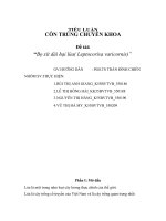 Tiểu luận bọ xít dài hại lúa