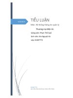Hệ thống thông tin quản lý Thương mại điện tử
