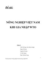 NÔNG NGHIỆP VIỆT NAM KHI GIA NHẬP WTO