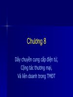 chương 8 dây chuyền cung cấp điện tử, cộng tác thương mại và liên doanh trong thương mại điện tử
