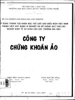 Công ty chứng khoán ảo áp dụng thành tựu khoa học thế giới vào điều kiện VN trong việc xây dựng xí nghiệp ảo để giảng dạy cho các ngành kinh tế và QTKD của các trường đại họchutech, 2001