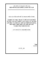 Nghiên cứu thực trạng và đề xuất giải pháp tổ chức sản xuất phôi và gia công các chi tiết lớn phục vụ lĩnh vực chế tạo thiết bị xi măng, thuỷ điện, nhiệt điện, dầu khí, hoá dầu