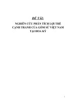 Đề án nghiên cứu phân tích lợi thế cạnh tranh của gốm sứ Việt Nam tại Mỹ