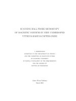 scanning hall probe microscopy of magnetic vortices in very underdoped yttrium barium copper oxide