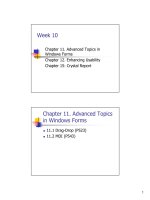 Chapter 11 Advanced Topics in Windows Forms
