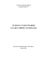 Tự rung và mất ổn định của quá trình cắt kim loại nguyễn đăng bình, dương phúc tý. khoa học và kỹ thuật, 2007