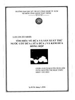 Luận văn tốt nghiệp tìm hiểu về dừa và sản xuất thử nước cốt dừa và kem đóng hộp