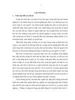 HOÀN THIỆN CÔNG TÁC ĐÀO TẠO PHÁT TRIỂN NGUỒN NHÂN LỰC TẠI CÔNG TY CỔ PHẦN PICO