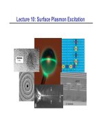 Surface plasmon excitations